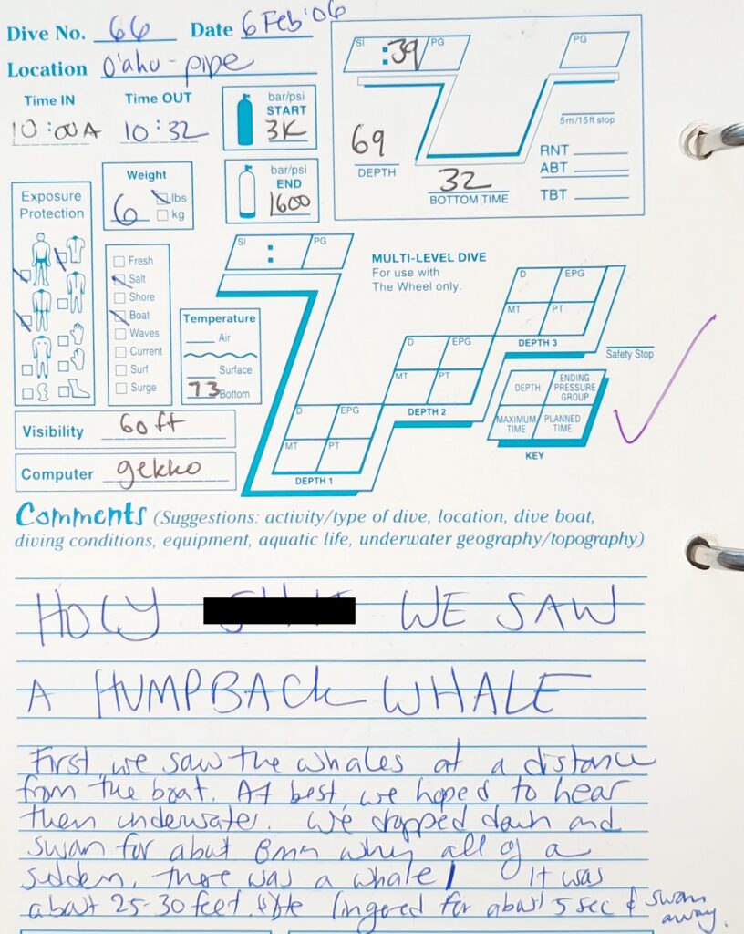 Sample logbook page