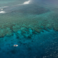 the great sea reef from above