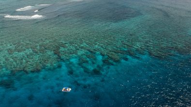 the great sea reef from above