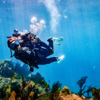 A PADI Instructor explores a reef in St Lucia