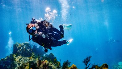 A PADI Instructor explores a reef in St Lucia
