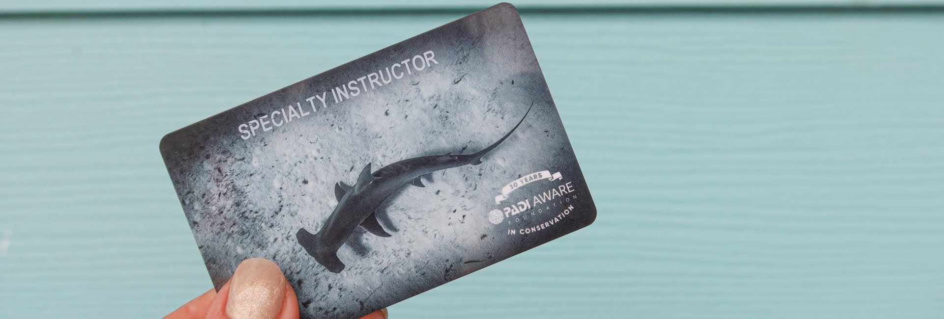 Divemasters – You Can Teach Too! Level Up Your Ocean Advocacy in 2024