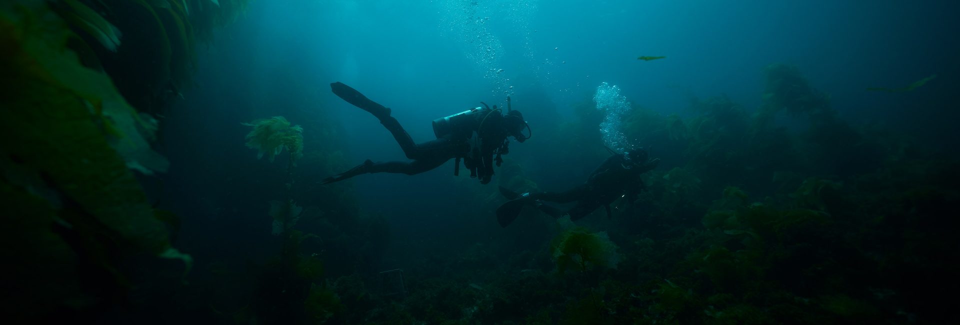Pro Surfer Pacha Light on Her PADI Certification Story, From Riding Waves to Breathing Underwater