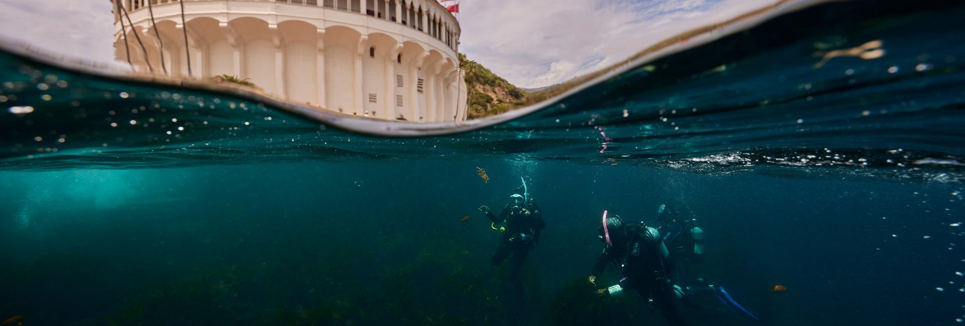 Plan Dive Adventures