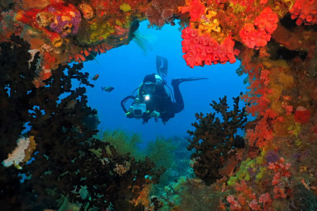 Where to Find Scuba Jobs Worldwide