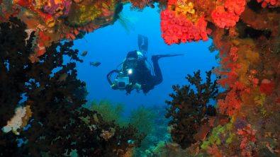 An underwater photographer takes an image of a coral reef
