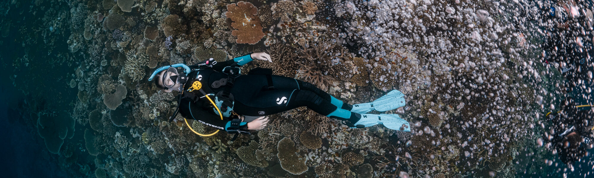 Les principales tendances de la plongée sous-marine en 2024