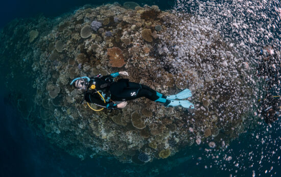Scuba Diver at 8, Girl Collects 600KG Plastic Waste to Help the