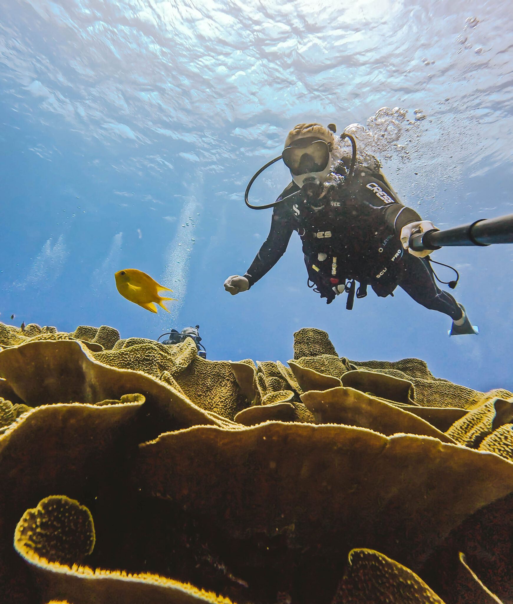 diver taking selfie with a fish over a reef