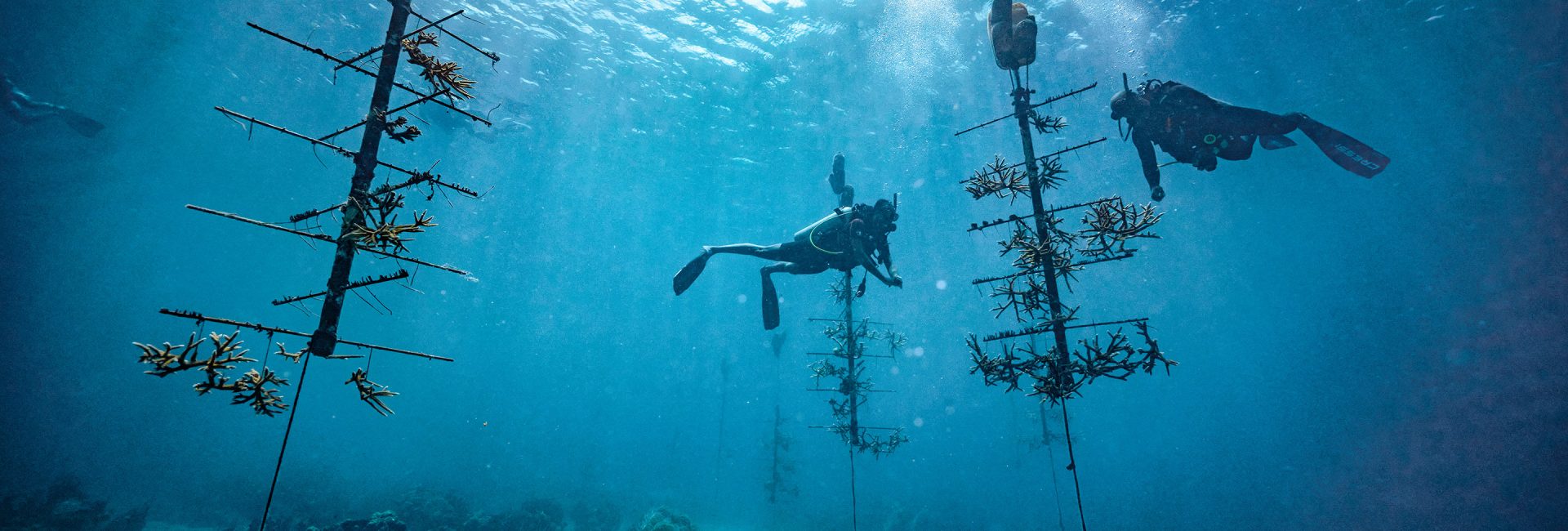 Where & How to Find Scuba Jobs Worldwide