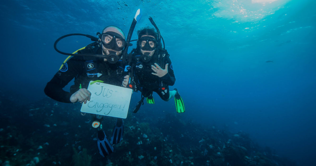 A couple of divers underwater hold a "just engaged" sign