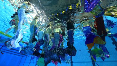 many mermaids hovering in the pool