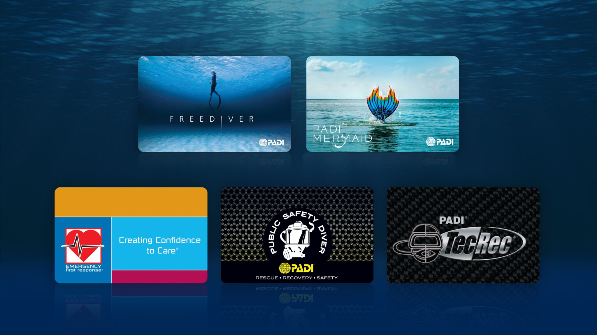 A product photo of five different PADI dive certification card designs for courses including Freediver, Mermaid, and TecRec