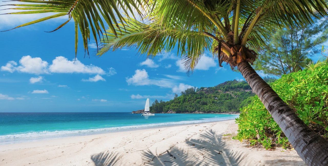 Everything You Need to Know About Scuba Diving in Jamaica