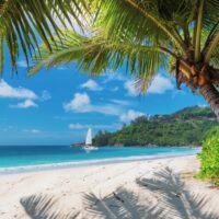 Beautiful sandy beach with palm and a sailing boat in the turquoise sea on Jamaica Paradise island.