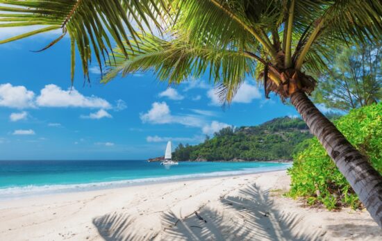 Beautiful sandy beach with palm and a sailing boat in the turquoise sea on Jamaica Paradise island.