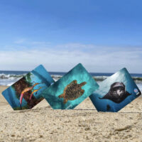 Three PADI certification cards posed in the sand on a beach