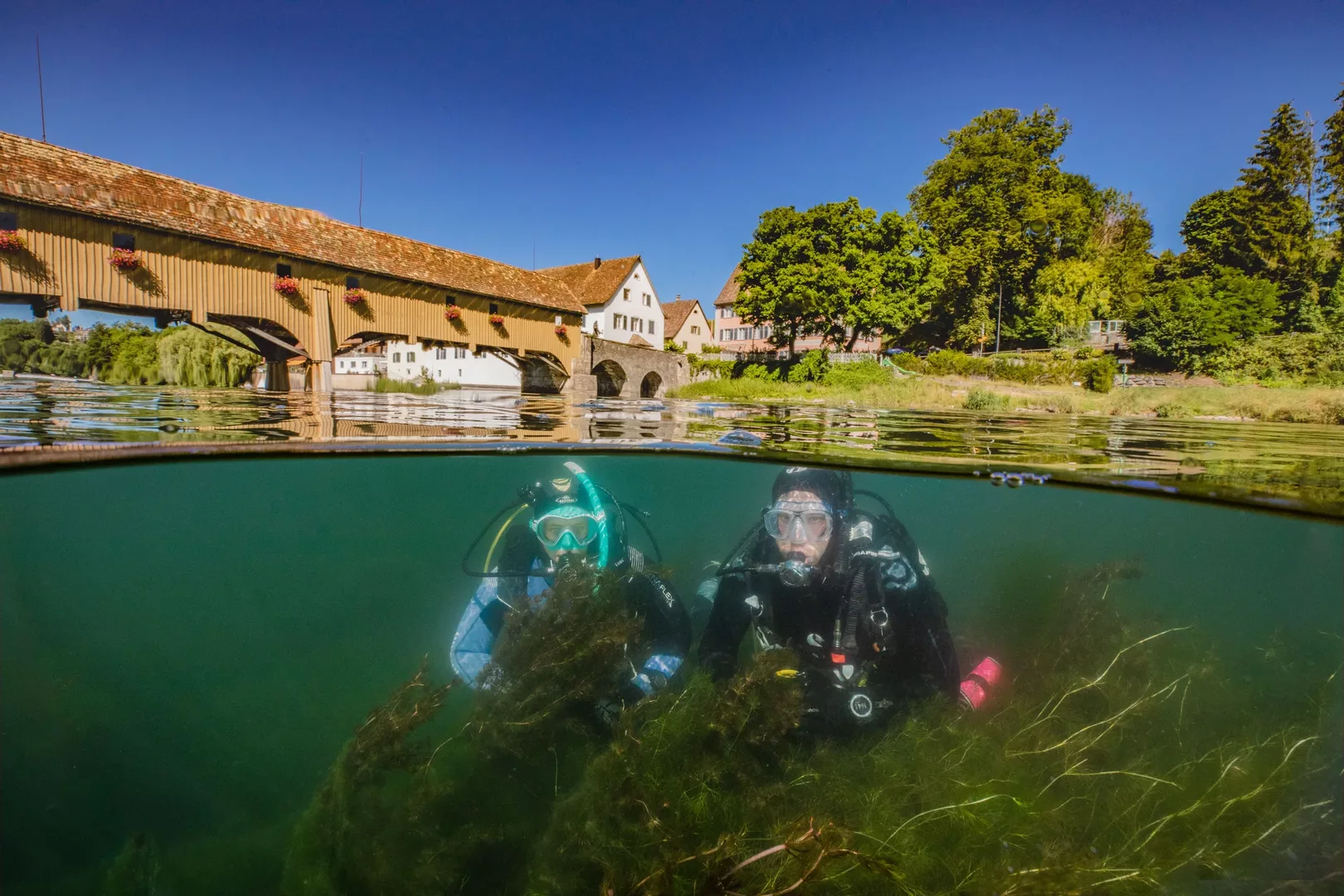 Divers close to the surface looking at the camera at a dive in the lake with a bridge on background