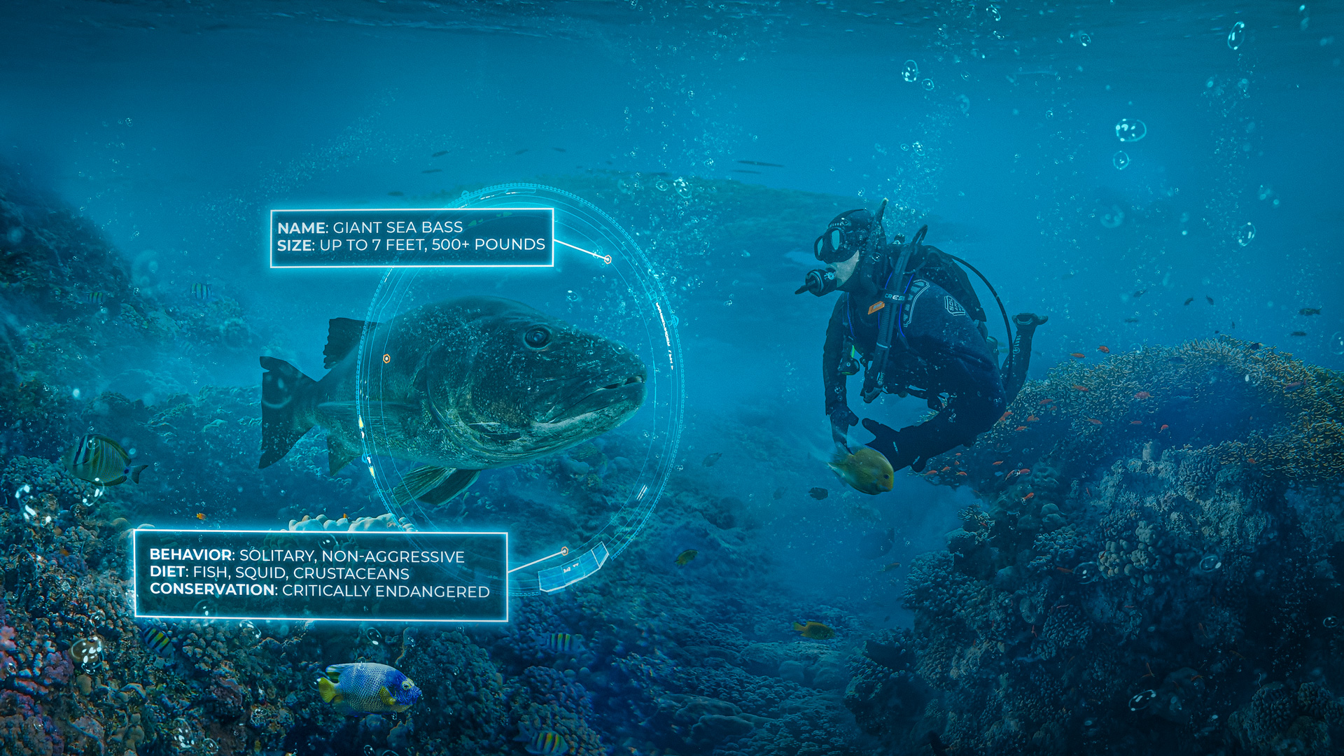 a diver swims up to a giant sea bass while wearing the new ai-powered marine life identifier mask attachment