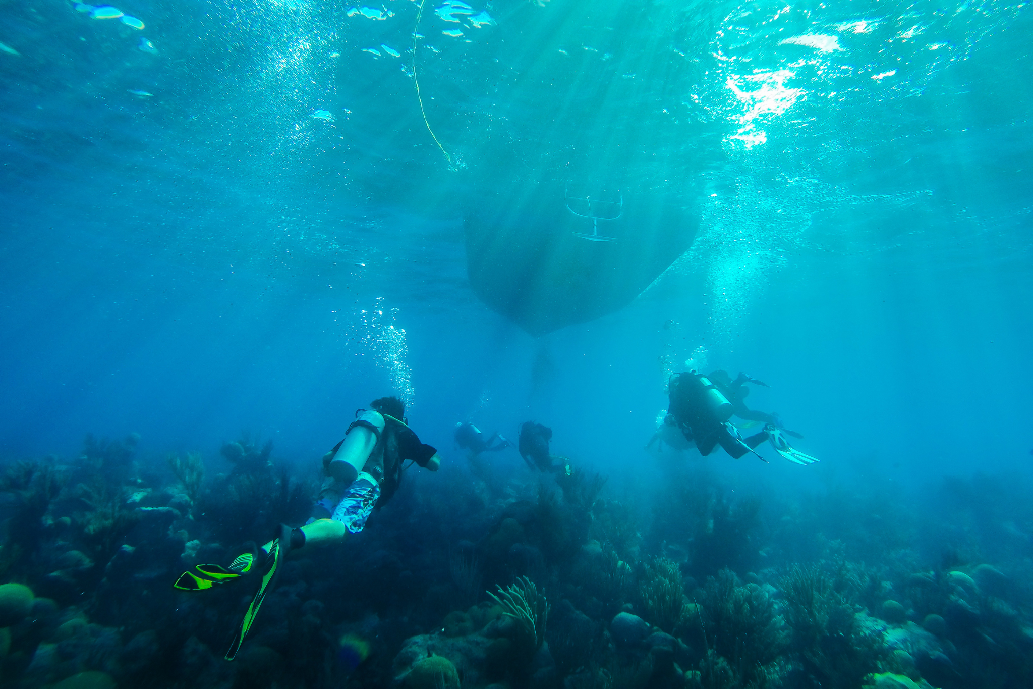 Underwater image of divers doing a reef dive