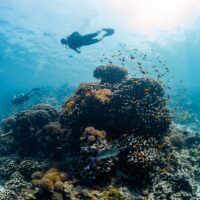 Mary Hannah and her husband go on a diving trip they booked with PADI Adventures