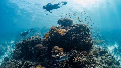 Mary Hannah and her husband go on a diving trip they booked with PADI Adventures