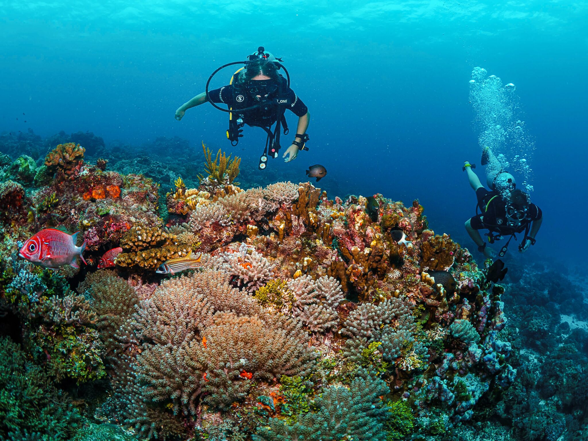Mary Hannah and her husband explore a coral reef in Tanzania while scuba diving