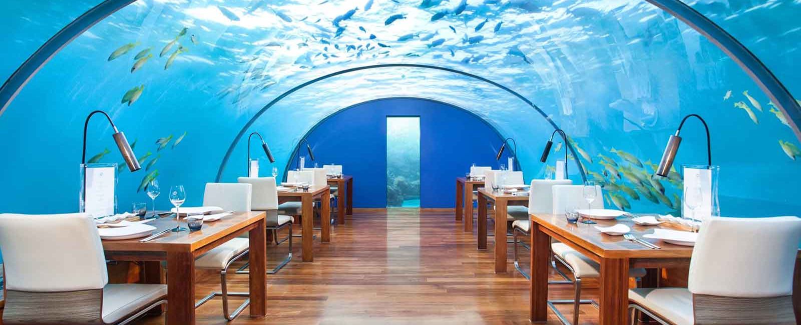 The Best Underwater Restaurants That Are Actually in the Sea