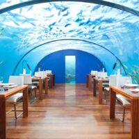 one of the best underwater restaurants in the sea