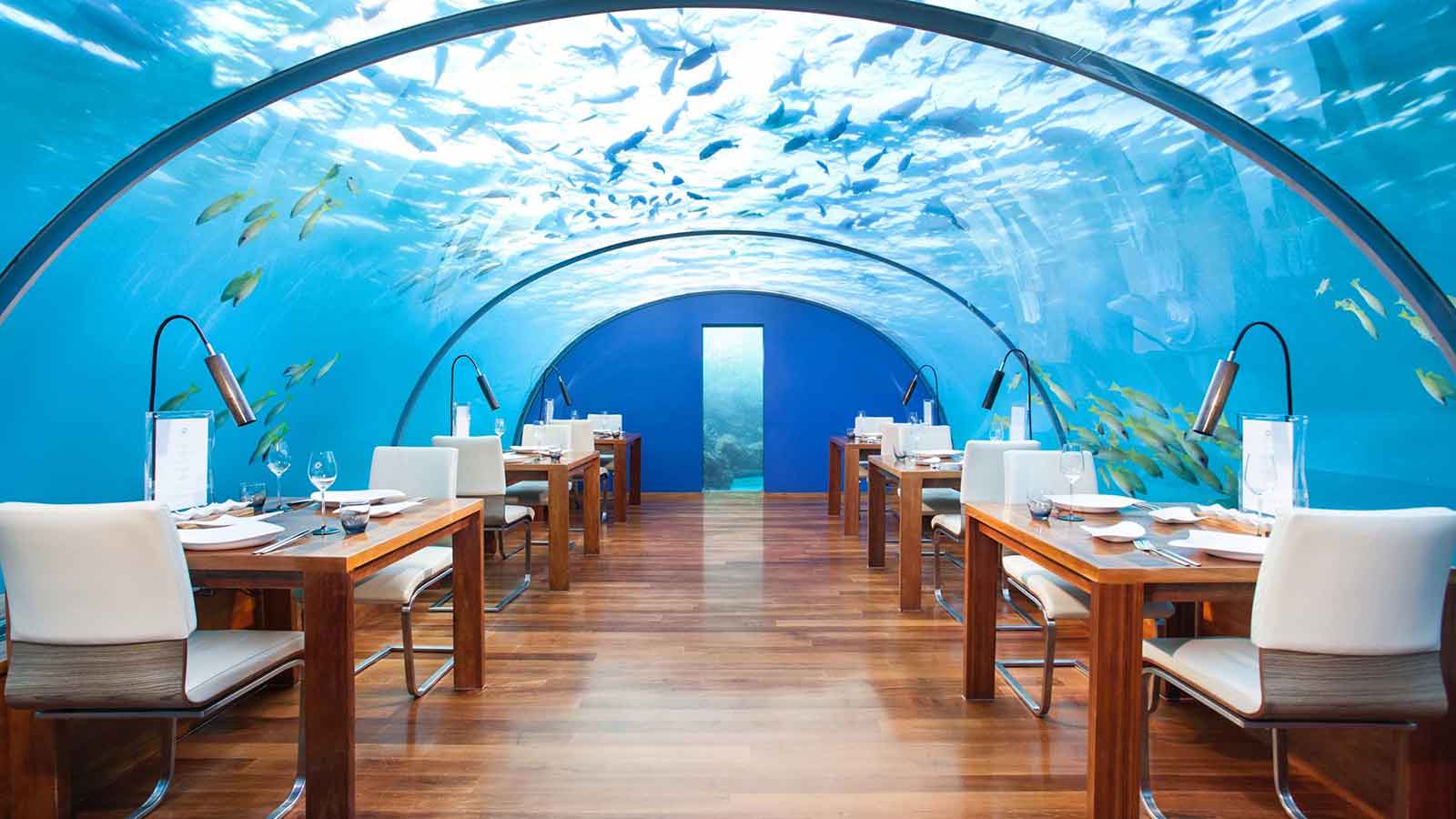 one of the best underwater restaurants in the sea