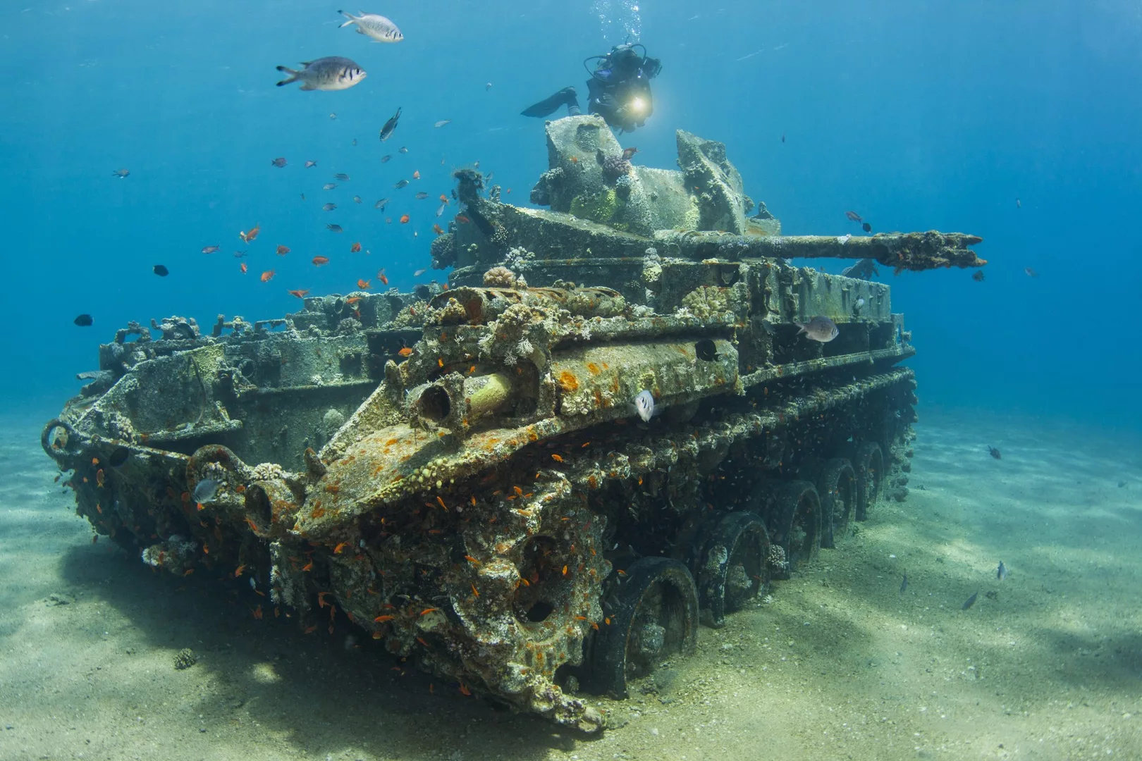 a scuba diver explores a tank situated underwater in aqaba jordan