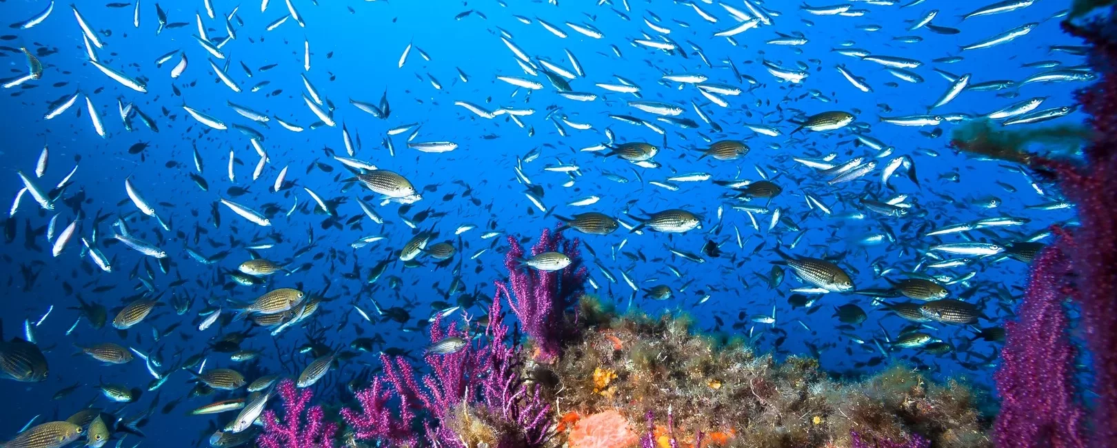 The 10 Best Diving Destinations in Europe