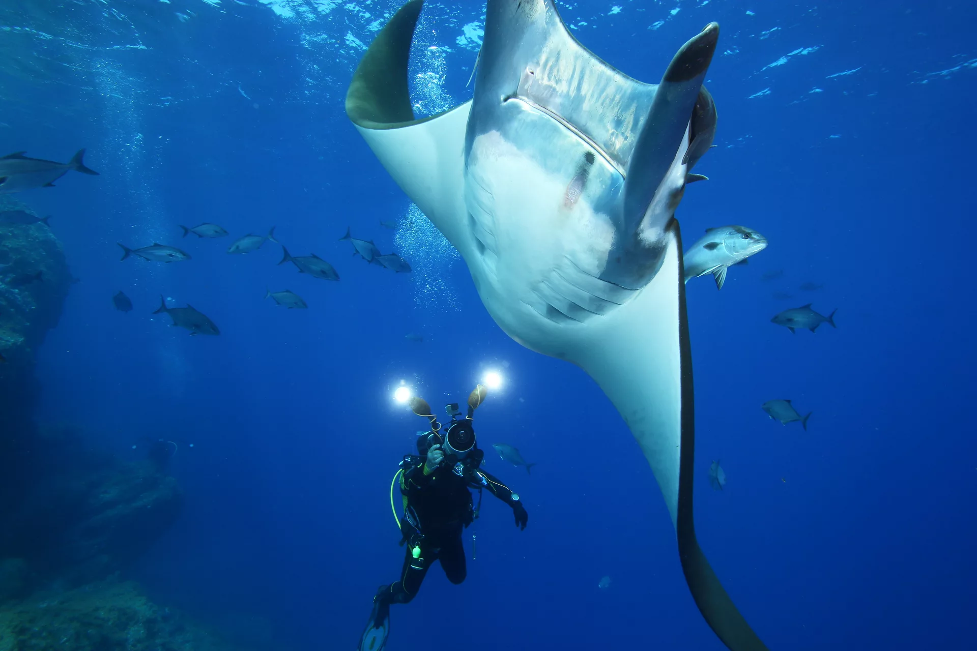 Photographer taking picture of a manta ray