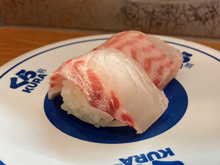 Surgeon fish Sushi