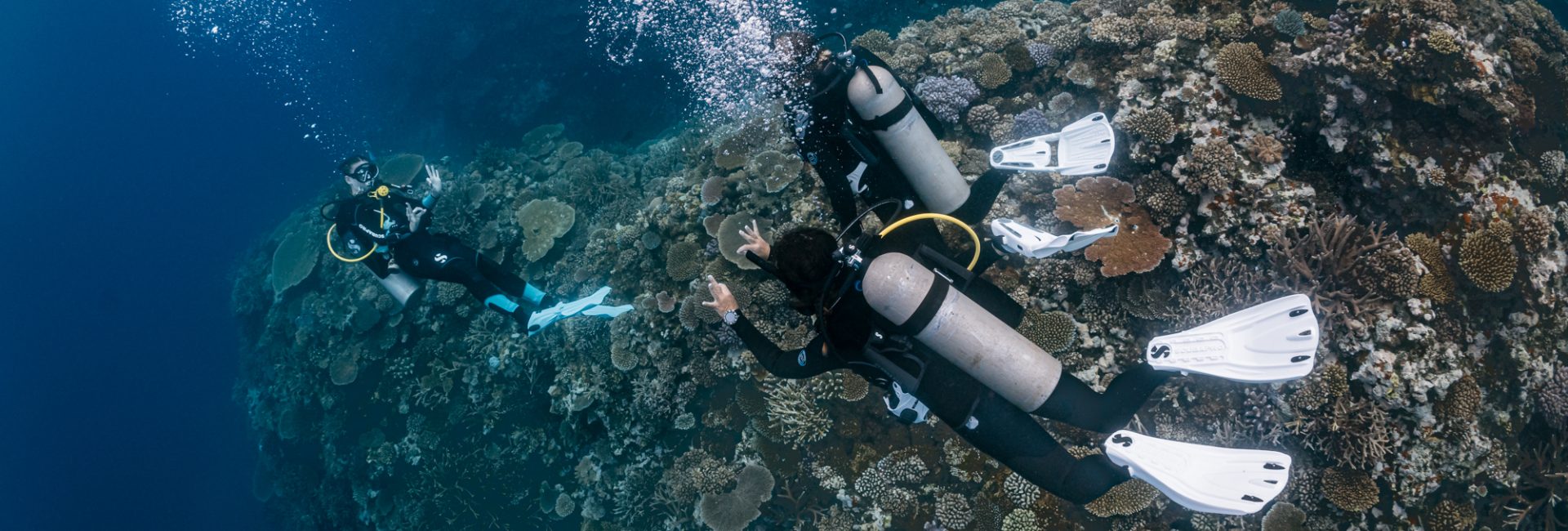 PADI Honored by Fast Company on World’s Most Innovative Companies List for 2024