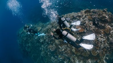 three divers explore a coral reef in fiji. the divemaster asks the other divers how much air they have left in their scuba cylinders