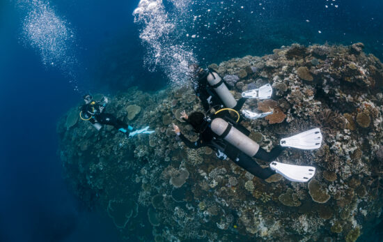 three divers explore a coral reef in fiji. the divemaster asks the other divers how much air they have left in their scuba cylinders
