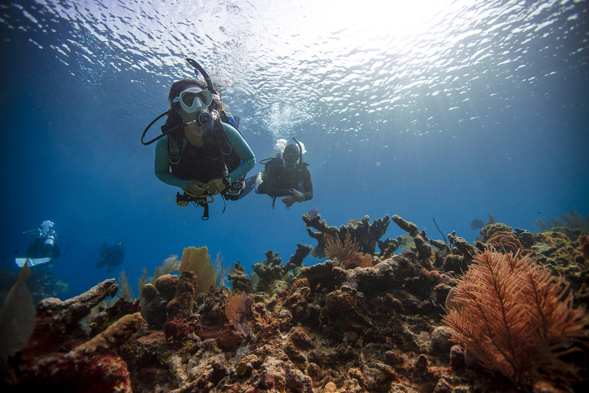 Two divers underwater swimming over a reef with other divers in the background
