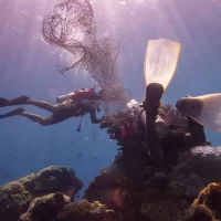 Two divers work together to remove a discarded fishing net from a coral reef in Indonesia