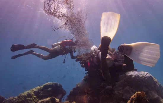 Two divers work together to remove a discarded fishing net from a coral reef in Indonesia