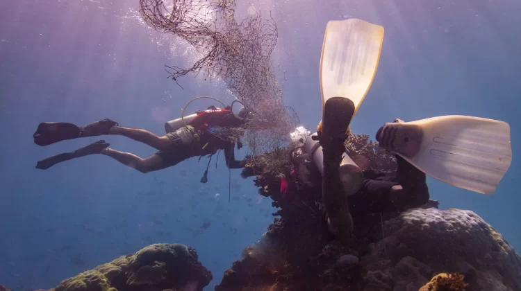Two divers work together to remove a discarded fishing net from a coral reef in Indonesia