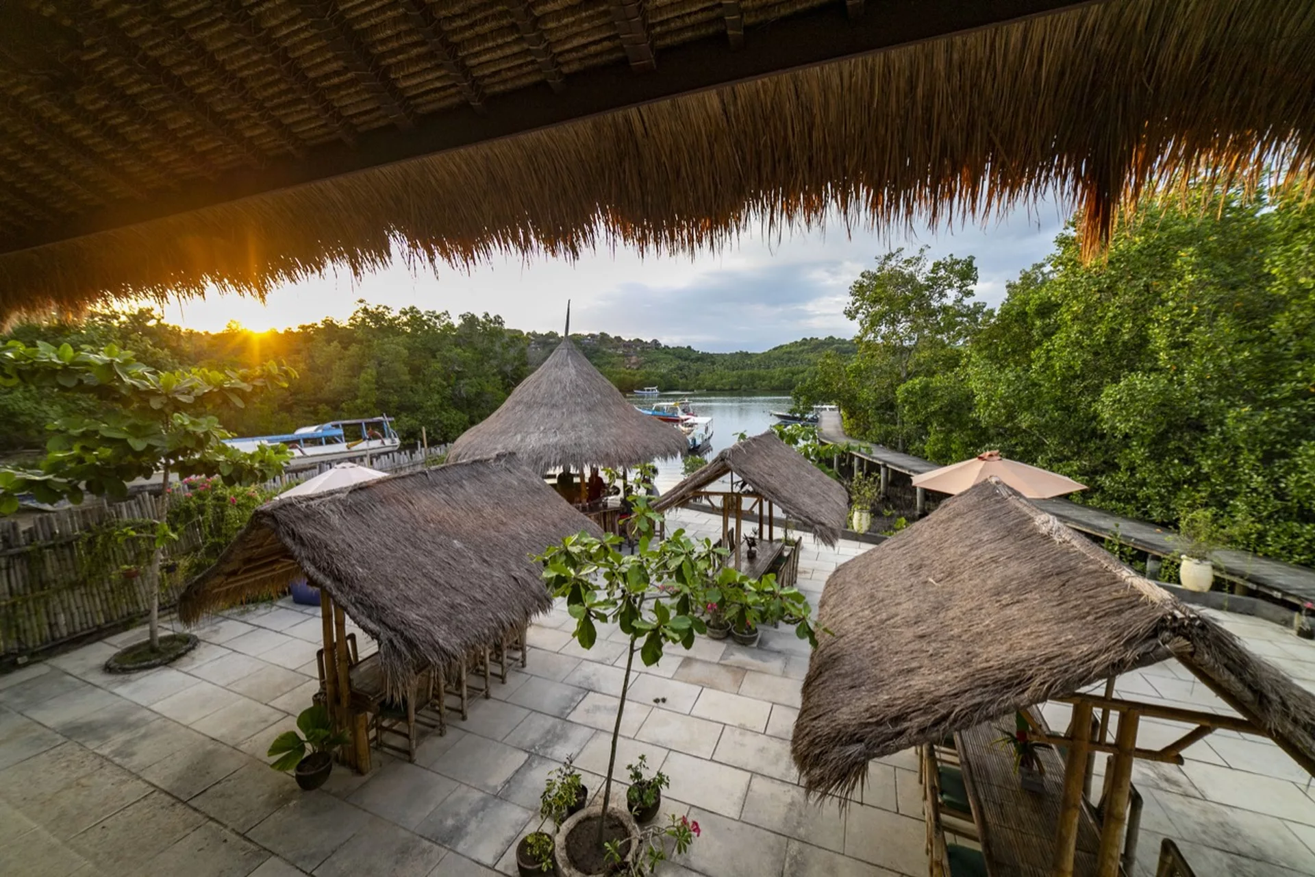 Ceningan Divers resort in Indonesia. The image shows their restored mangrove forest.