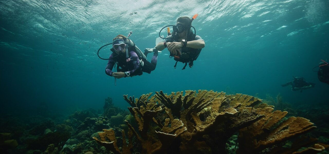 two divers swimming underwater over a reef