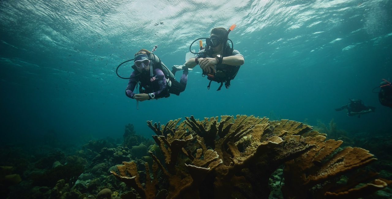 Come i PADI Eco Center stanno cambiando il settore subacqueo