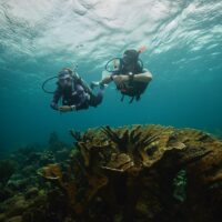 two divers swimming underwater over a reef