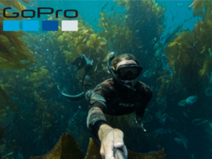 a man freedives through a kelp forest. he holds a gopro out in front of him, filming himself selfie-style.