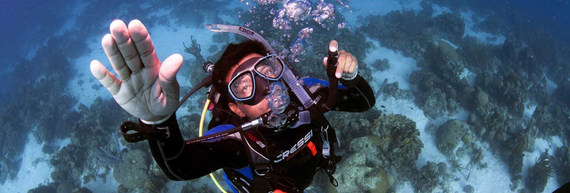 The 7 Most Epic Dive Sites for Beginners