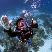 Diver Ascent