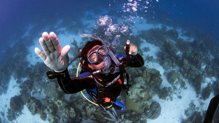 Diver Ascent
