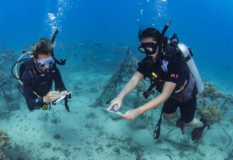 twee duikers doen onderzoek onder water in Thailand